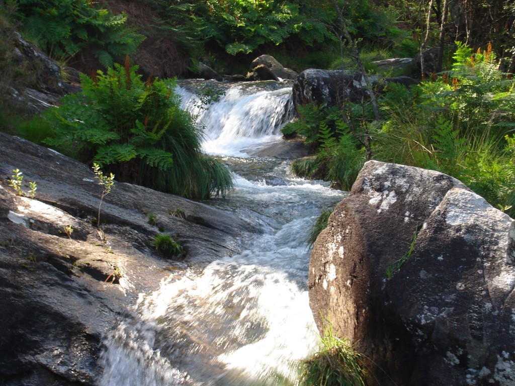 Foto de O Rosal (Pontevedra), España