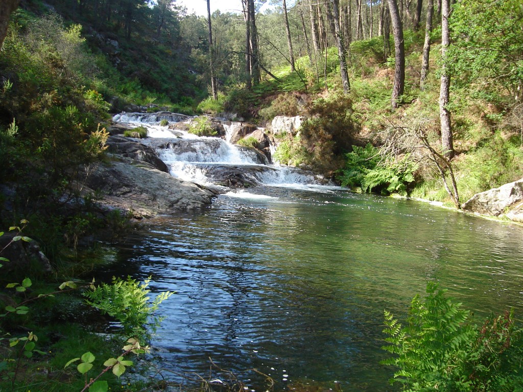 Foto de O Rosal (Pontevedra), España