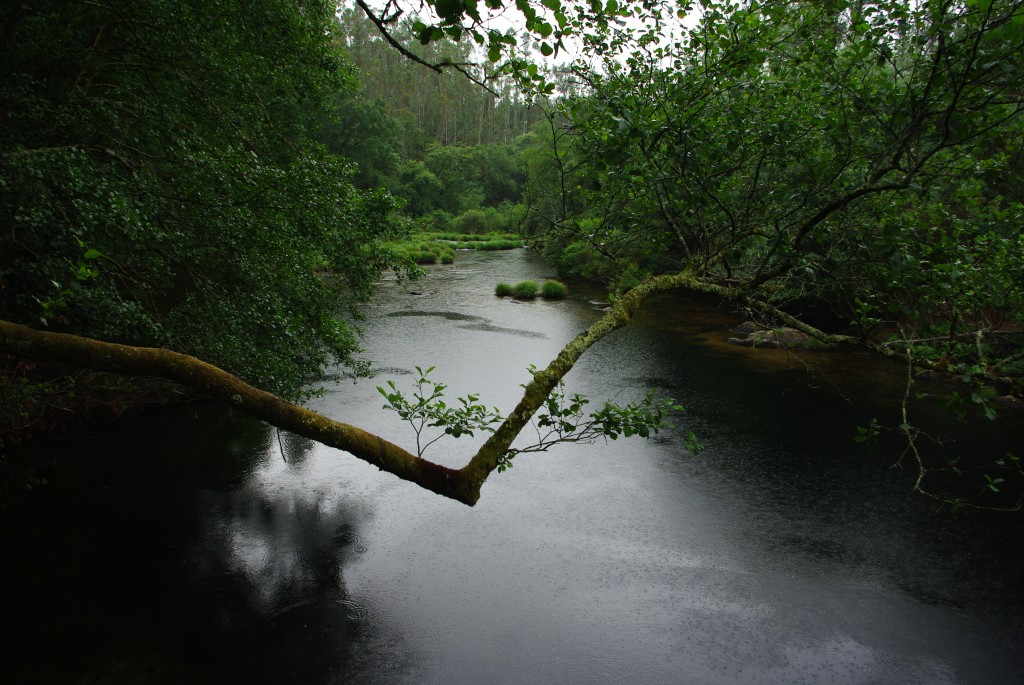 Foto de Soutomaior (Pontevedra), España