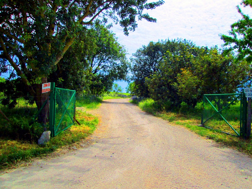 Foto: Camino Parrilla Alta - Baños de Gigonza (Cádiz), España