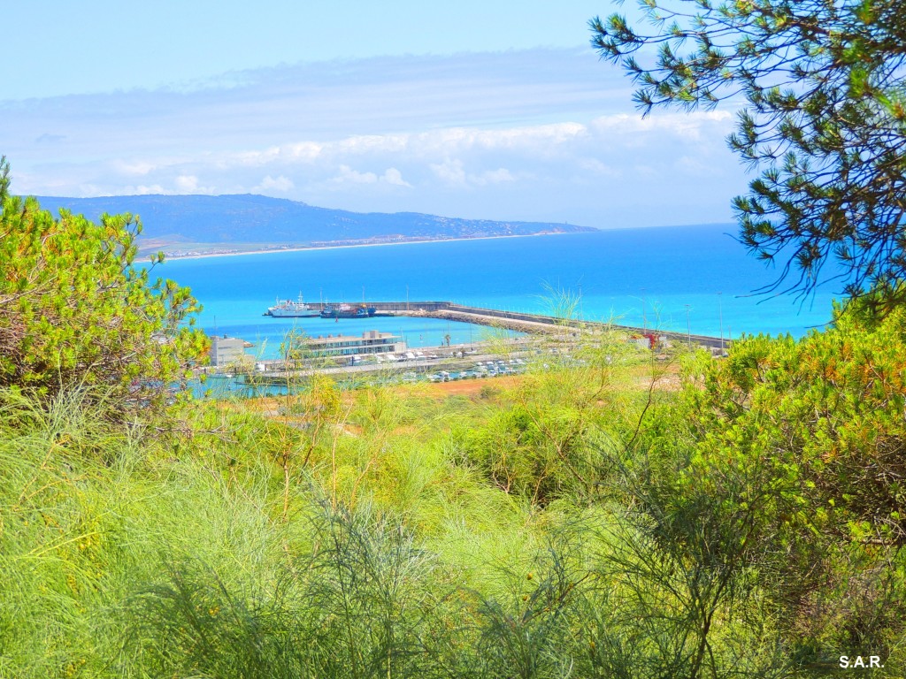 Foto: Puerto de Barbate desde La Breña - Barbate (Cádiz), España