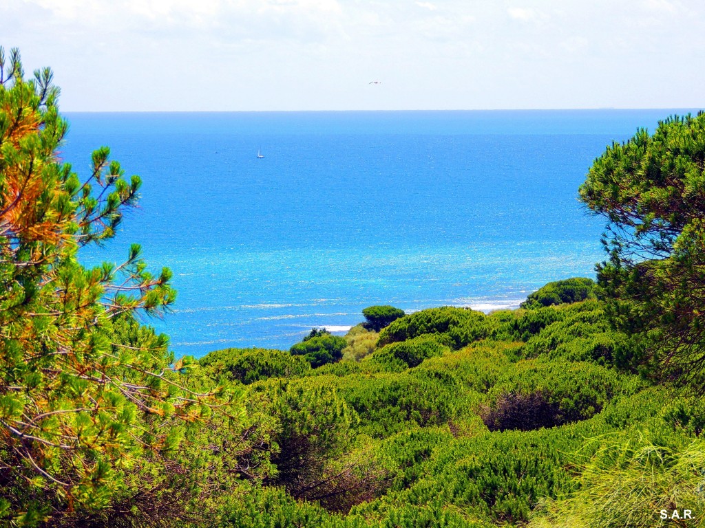 Foto: Inmensidad - Barbate (Cádiz), España