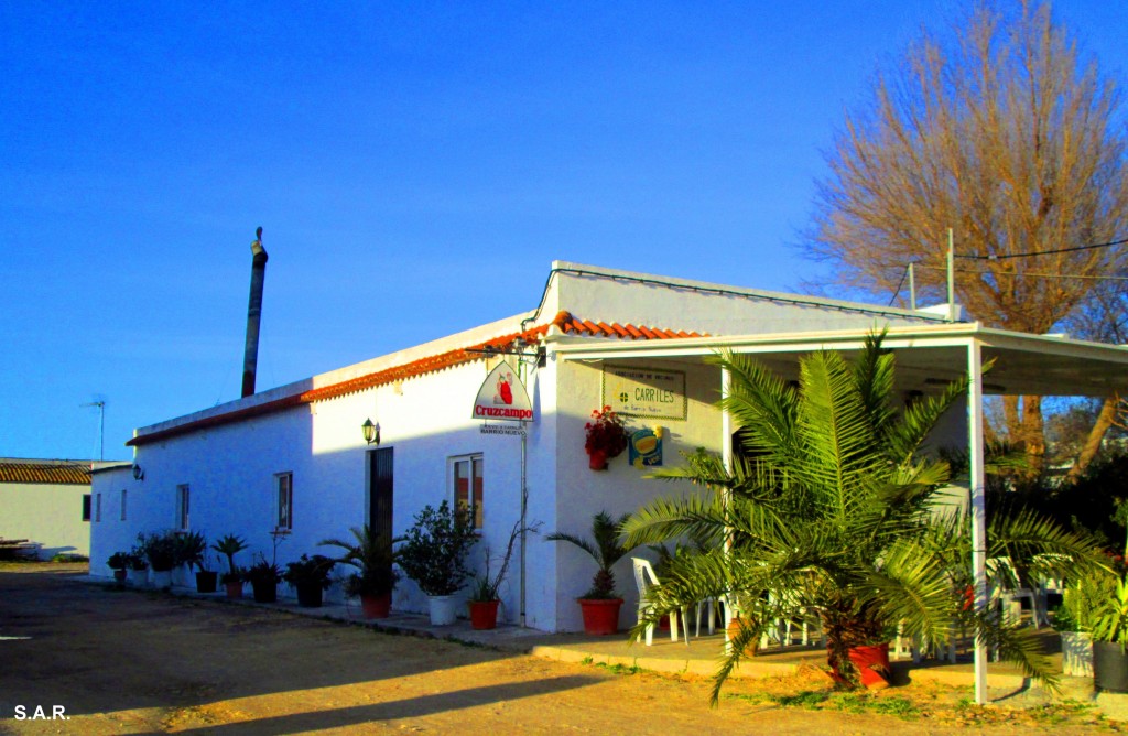 Foto: Asociación Cuatro Carriles - Barrio Nuevo (Cádiz), España