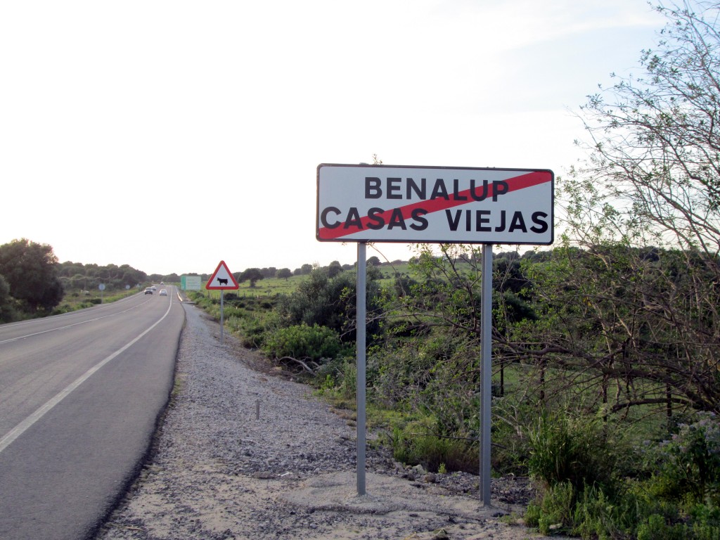 Foto: Salida hacia Medina - Benalup (Cádiz), España
