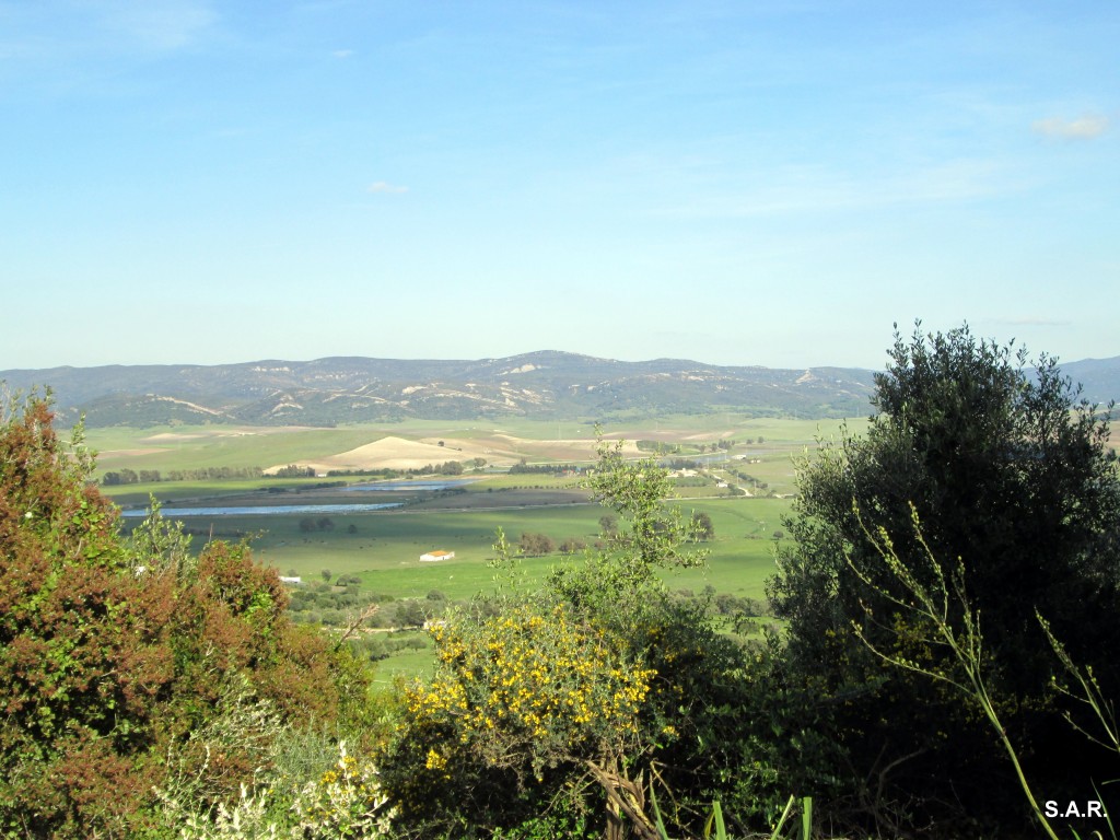 Foto: Vista hacia el Río Barbate - Benalup (Cádiz), España