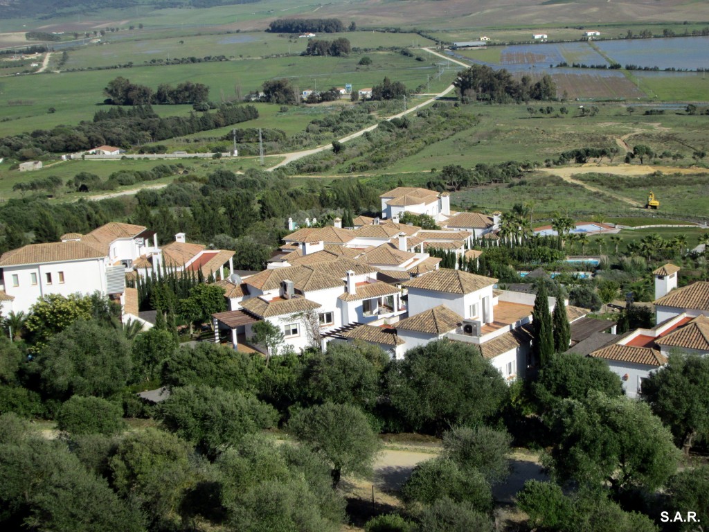 Foto: Carretera al Pantano del Celemín - Benalup (Cádiz), España