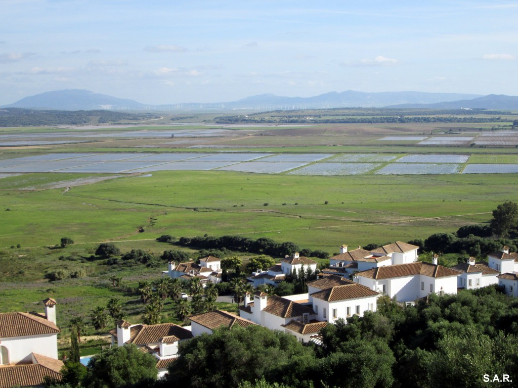 Foto: Al fondo Tahivilla - Benalup (Cádiz), España