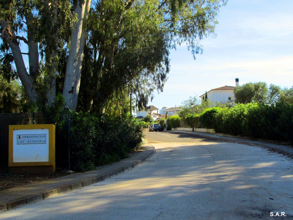 Foto: Urbanización Las Alondras - Benalup (Cádiz), España