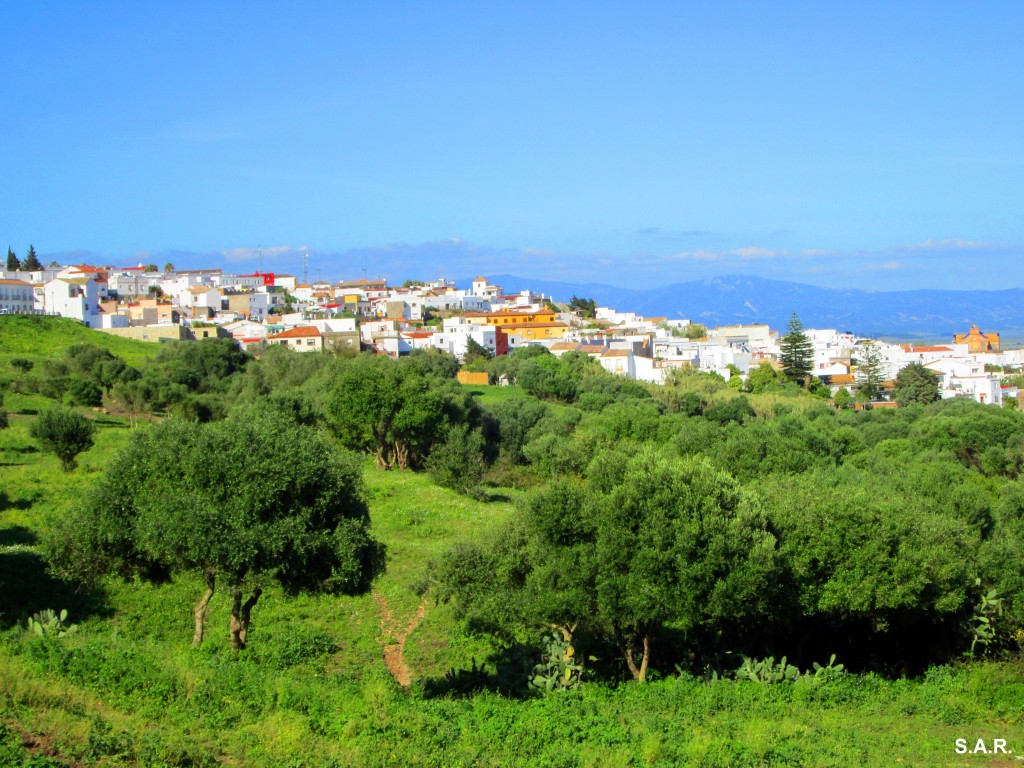 Foto: Vista de Benalup - Benalup (Cádiz), España