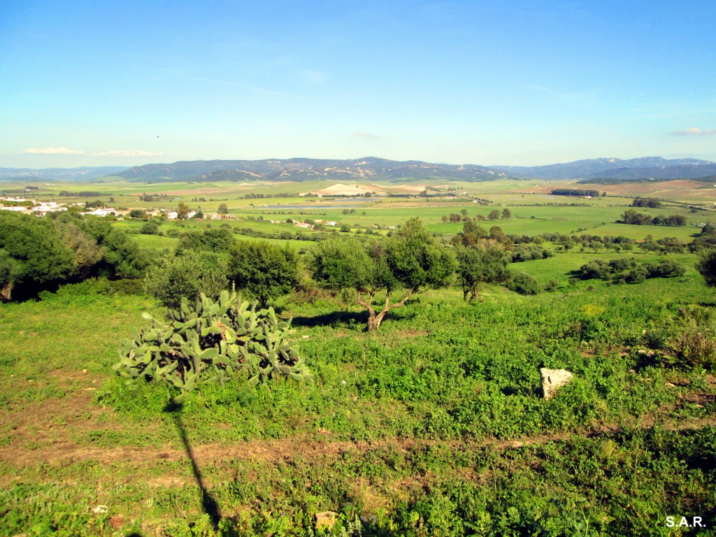 Foto: Hacia el Parque Natural Los Alcornocales - Benalup (Cádiz), España