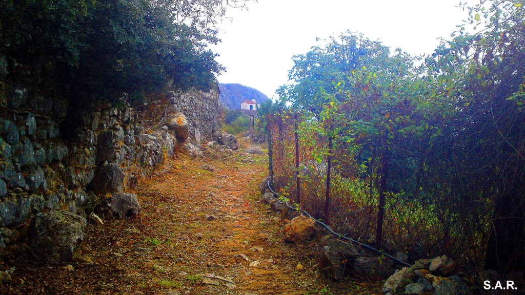 Foto: Camino a la Ermita - Benaocaz (Cádiz), España