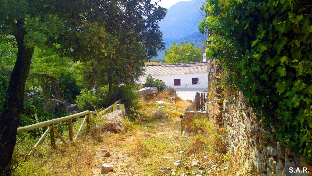 Foto: Camino a la Ermita - Benaocaz (Cádiz), España
