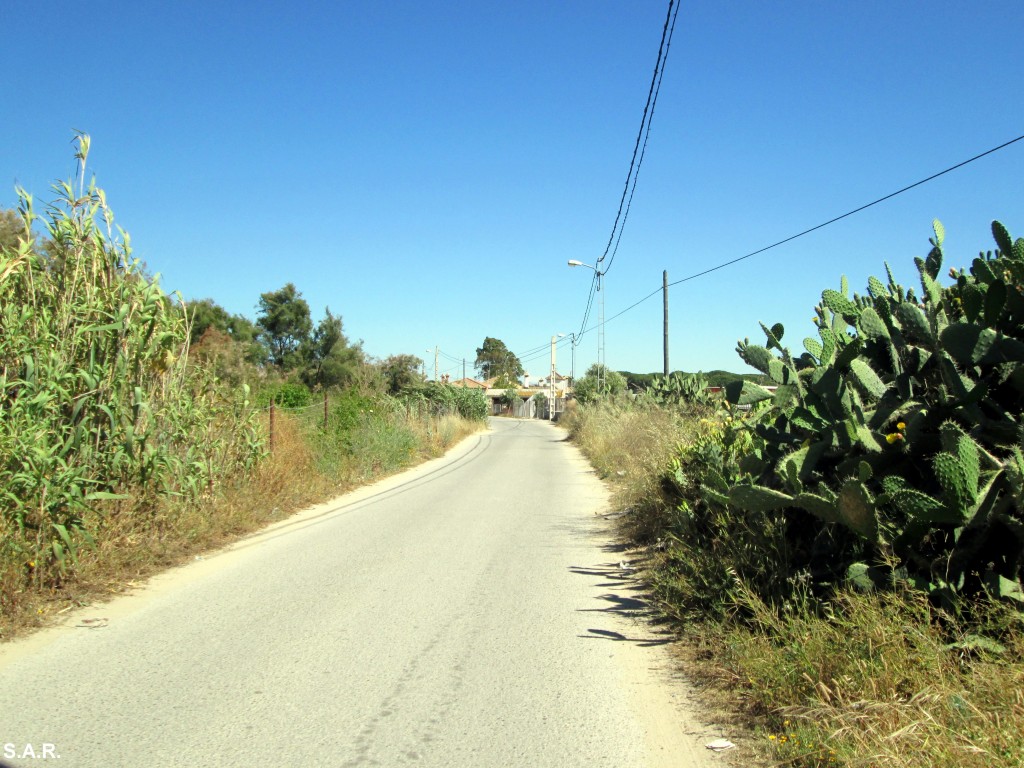 Foto: Camino de Martín Miguel - Bonanza (Cádiz), España
