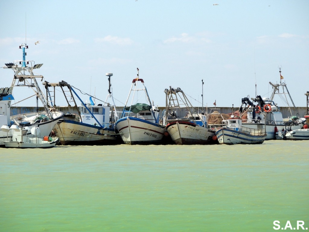Foto: Flota pesquera de Bonanza - Bonanza (Cádiz), España