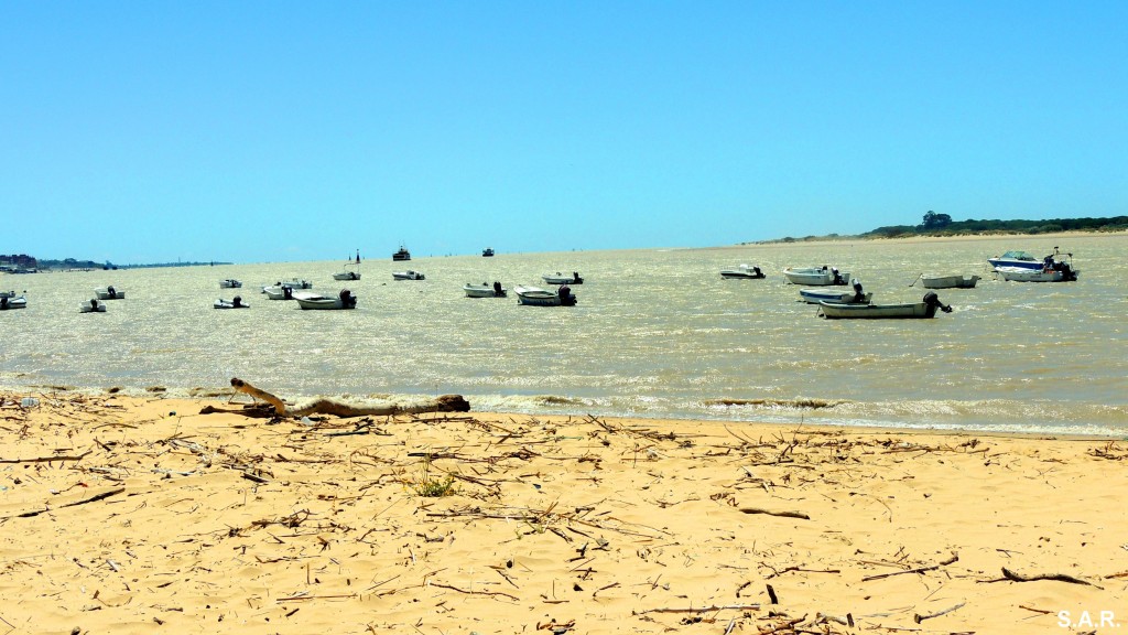 Foto: Desembocadura del Guadalquivir - Bonanza (Cádiz), España