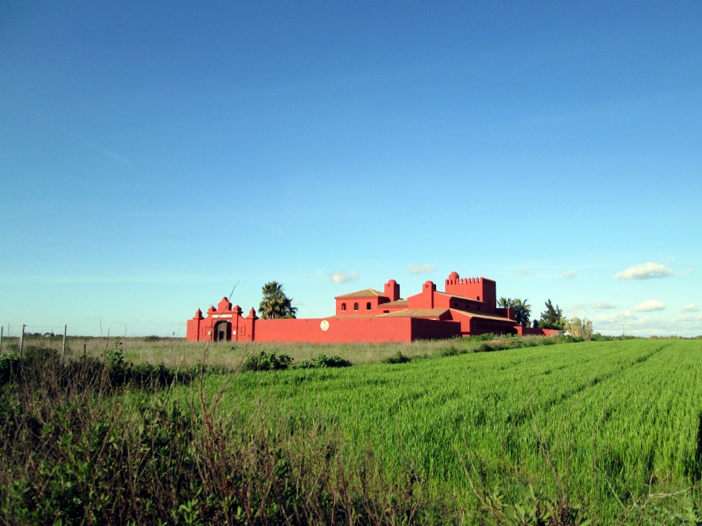Foto: Hacienda el Torilejo - Campano (Cádiz), España