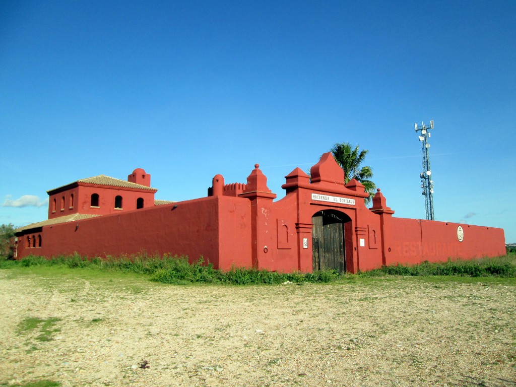 Foto: Hacienda el Torilejo - Campano (Cádiz), España