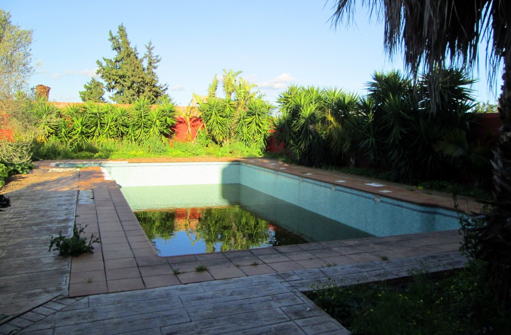 Foto: Hacienda el Torilejo - Campano (Cádiz), España