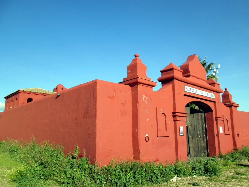 Foto: Hacienda el Torilejo - Campano (Cádiz), España