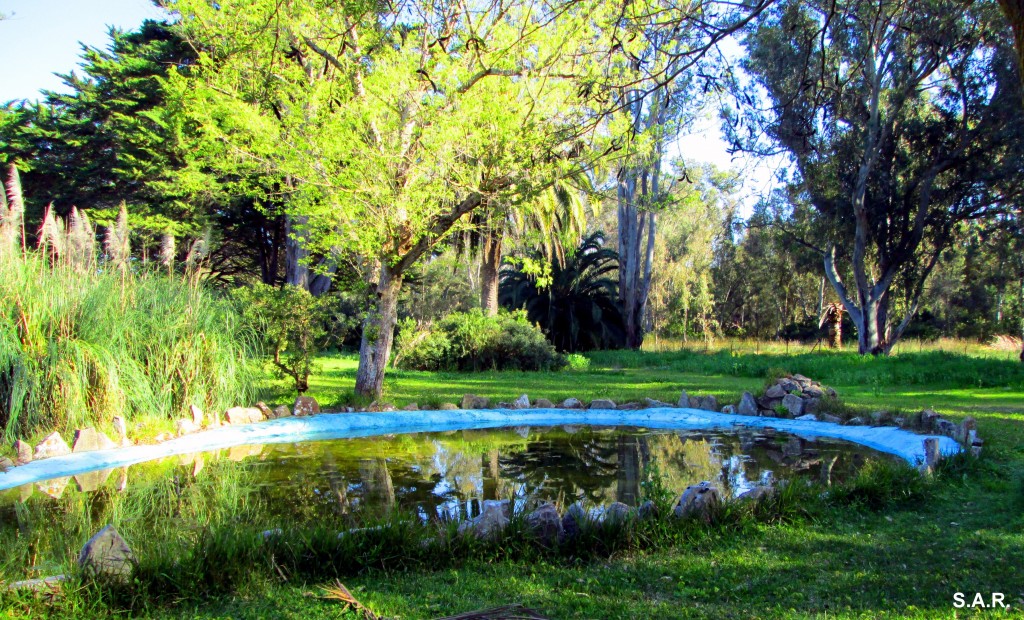 Foto de Campano (Cádiz), España