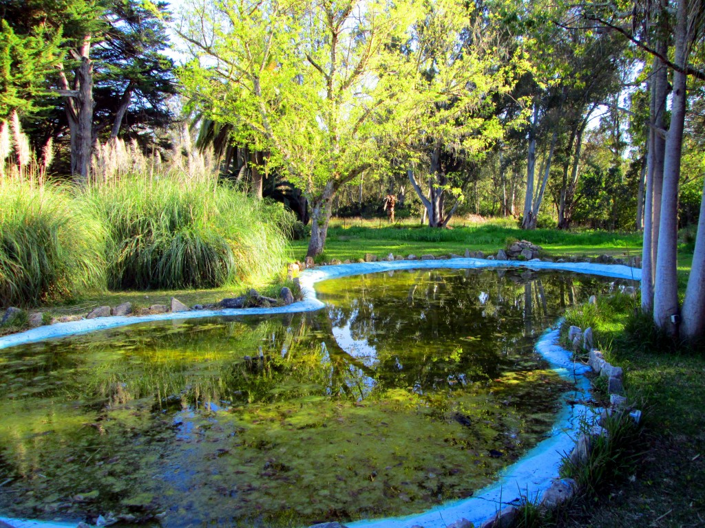 Foto de Campano (Cádiz), España