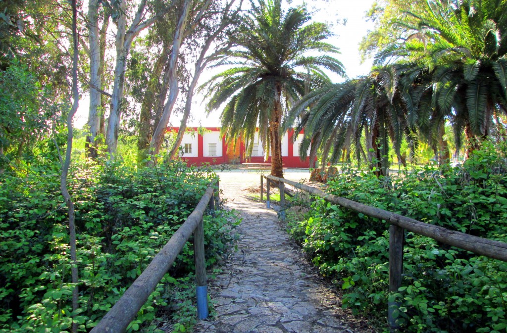 Foto de Campano (Cádiz), España