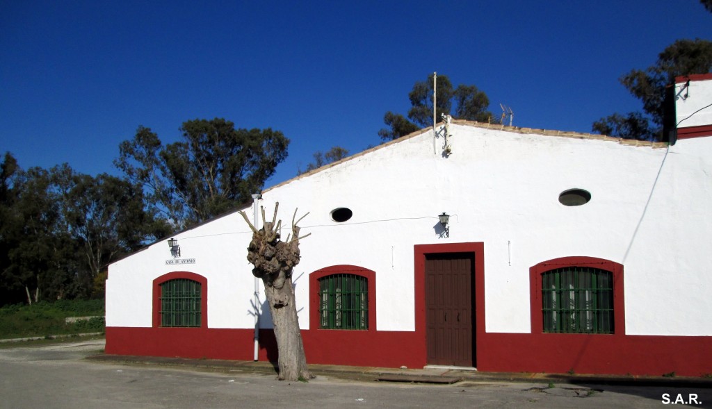 Foto de Campano (Cádiz), España