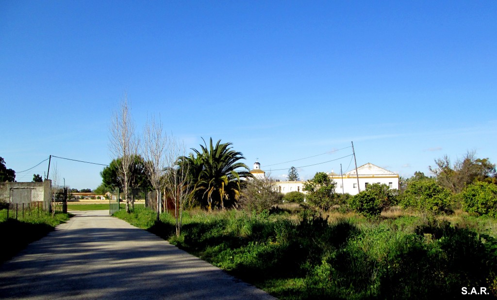 Foto de Campano (Cádiz), España