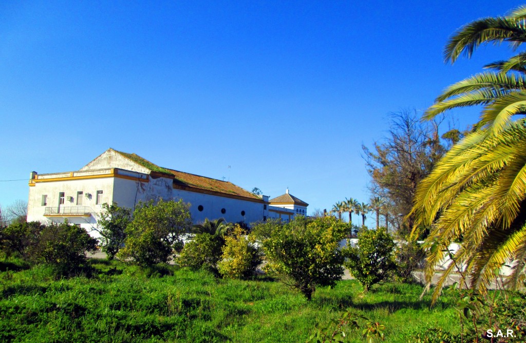 Foto de Campano (Cádiz), España
