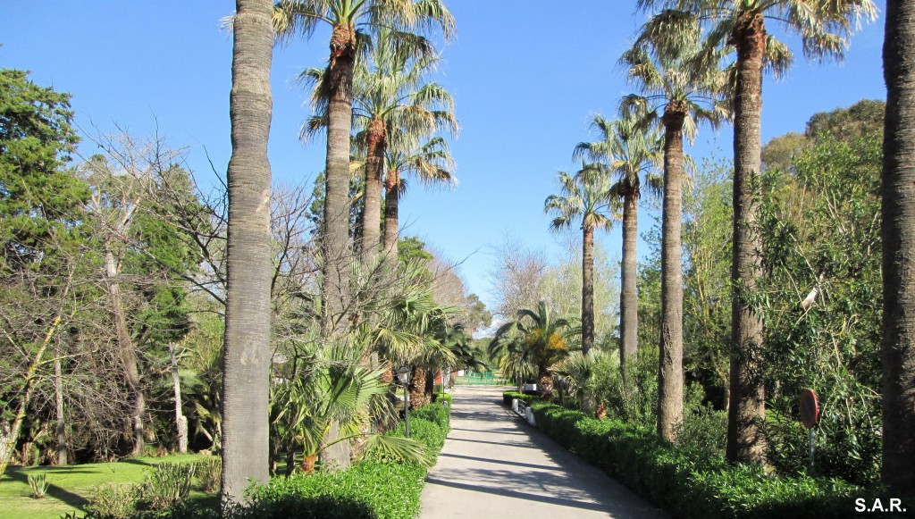 Foto de Campano (Cádiz), España