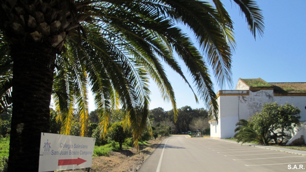 Foto de Campano (Cádiz), España