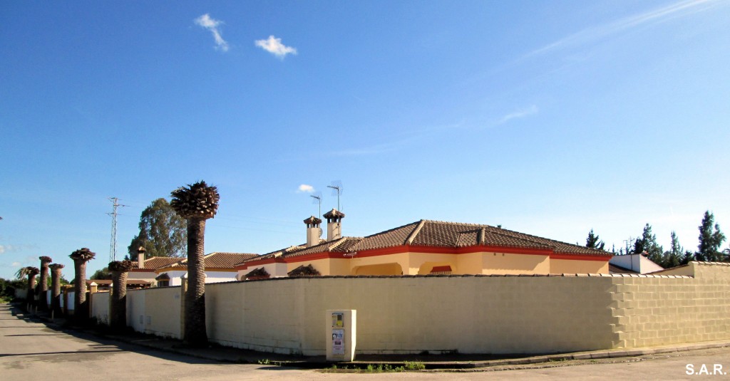 Foto de Campano (Cádiz), España