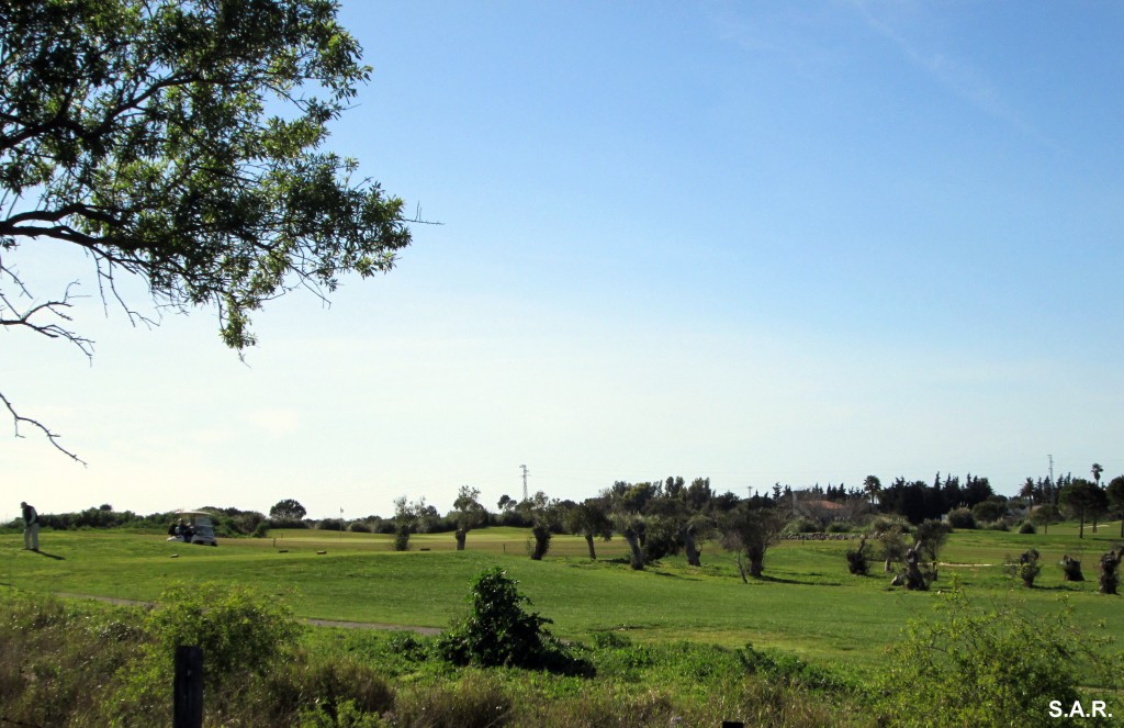 Foto de Campano (Cádiz), España
