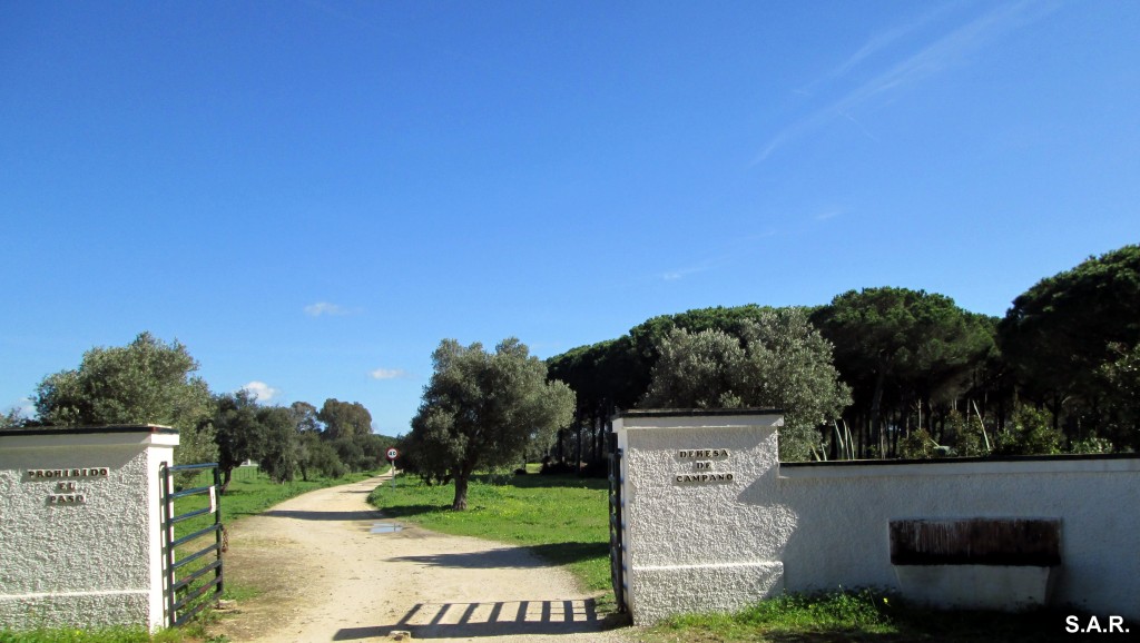 Foto de Campano (Cádiz), España