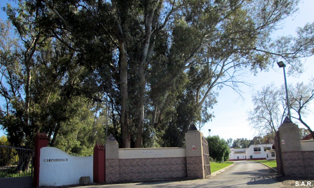 Foto de Campano (Cádiz), España