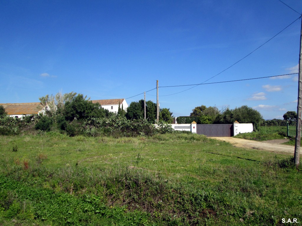 Foto: Cortijo Cantarranas - Catarranas (Cádiz), España