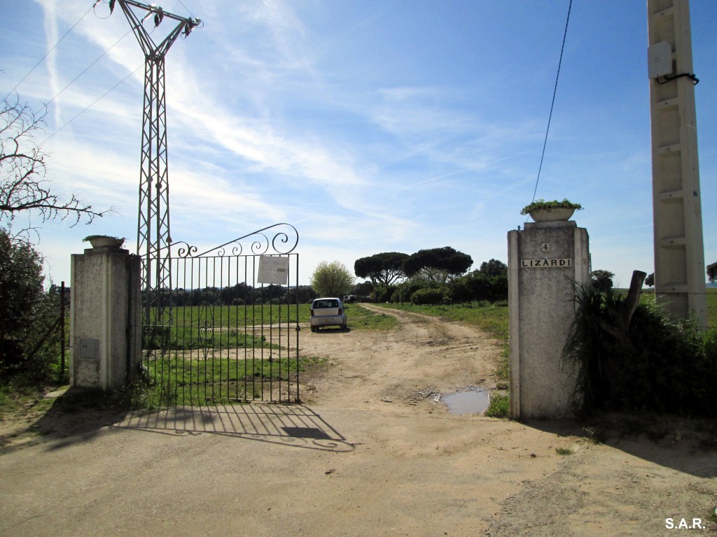 Foto: Finca Lizardi - Catarranas (Cádiz), España