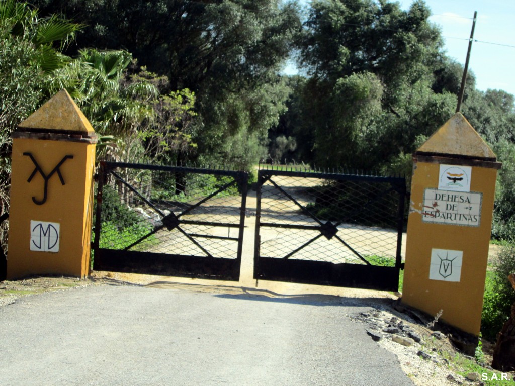 Foto: Dehesa Espartina - Cantarranas (Cádiz), España