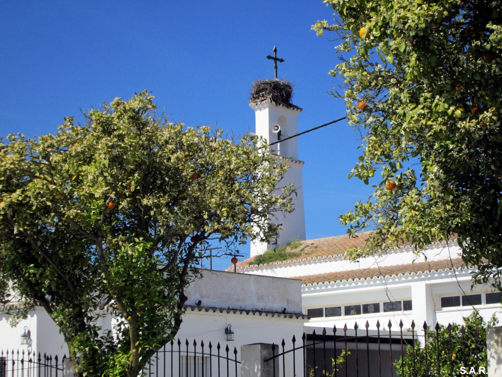 Foto: Desde Calle Larga - Cantarranas (Cádiz), España