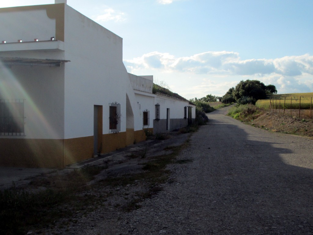 Foto: Camino de la Hacienda - Caserío San Bernardino (Cádiz), España