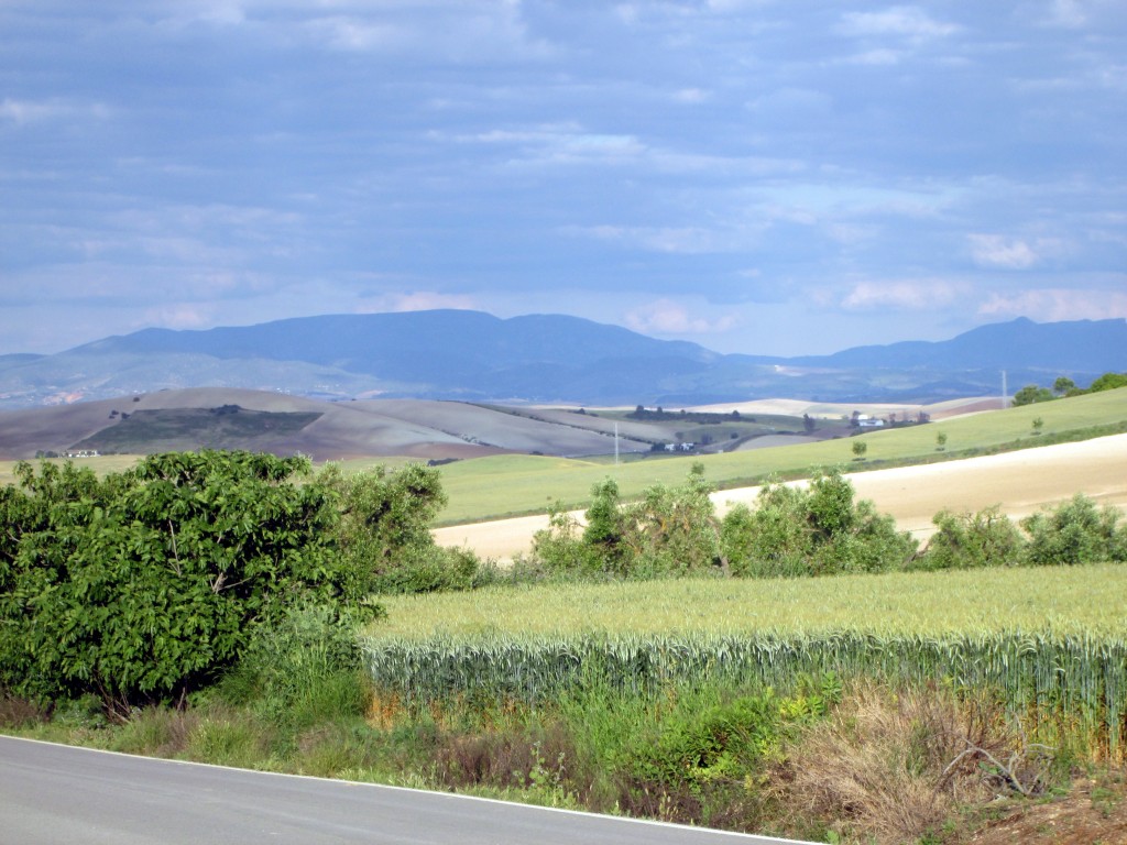 Foto: Vistas desde San Bernardino - Caserío San Bernardino (Cádiz), España