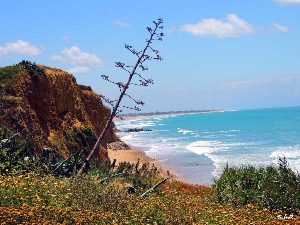 Foto: Cala Melchor - Conil de la Frontera (Cádiz), España
