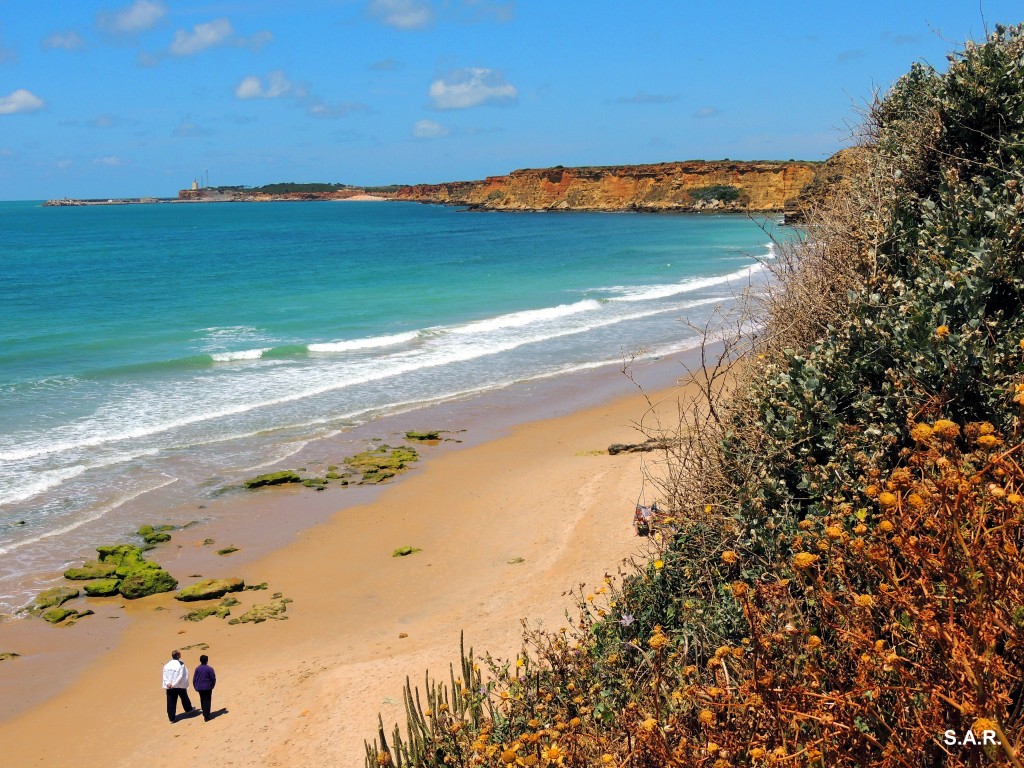 Foto: Playa Fuente del Gallo - Conil de la Frontera (Cádiz), España