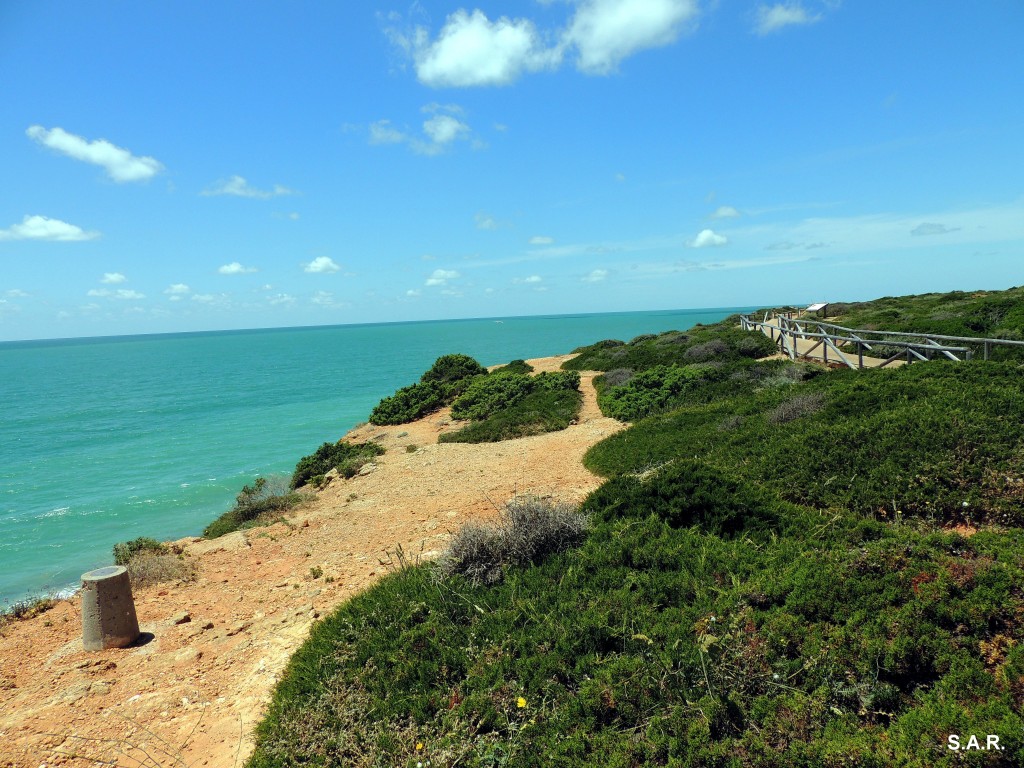 Foto: Zona de acantilados - Conil de la Frontera (Cádiz), España