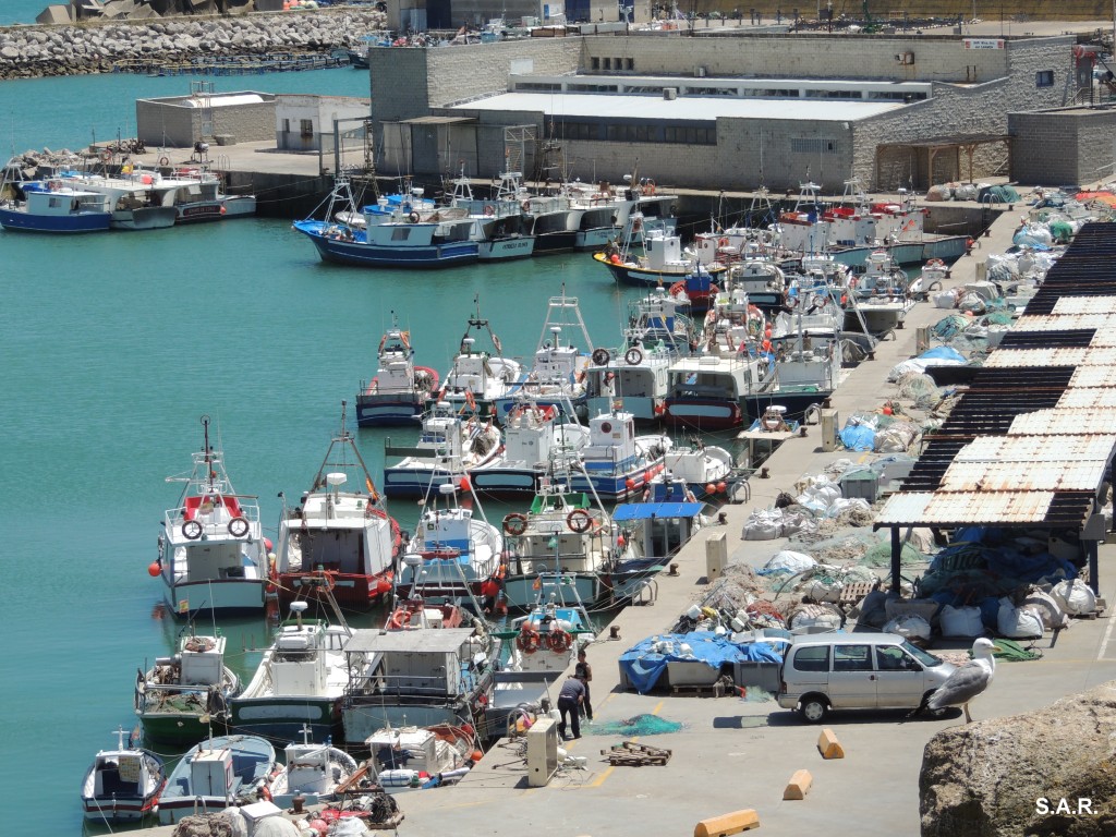Foto: Flota Pesquera - Conil de la Frontera (Cádiz), España