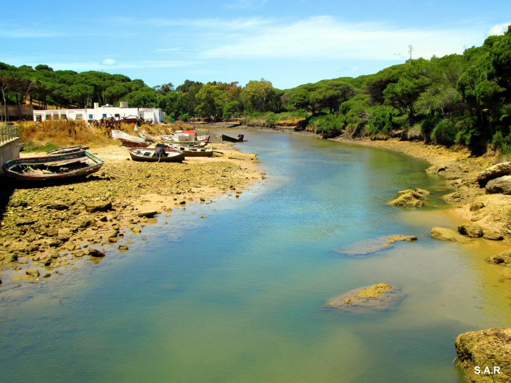 Foto: Río Roche - Conil de la Frontera (Cádiz), España