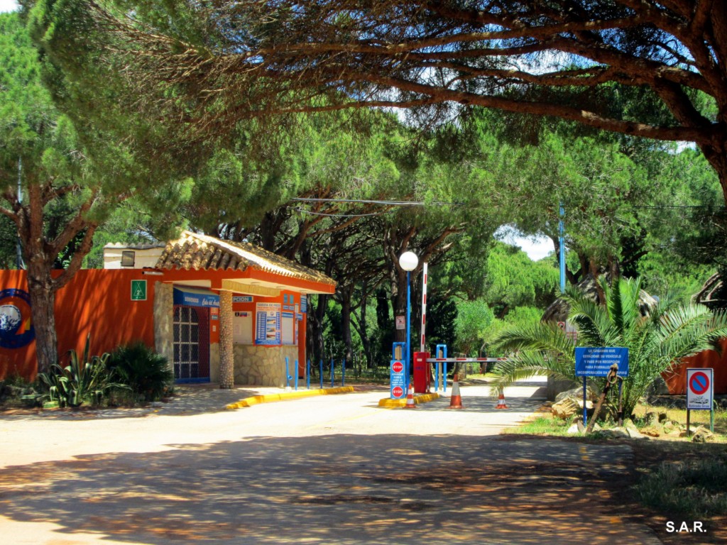 Foto: Camping Cala del Aceite - Conil de la Frontera (Cádiz), España