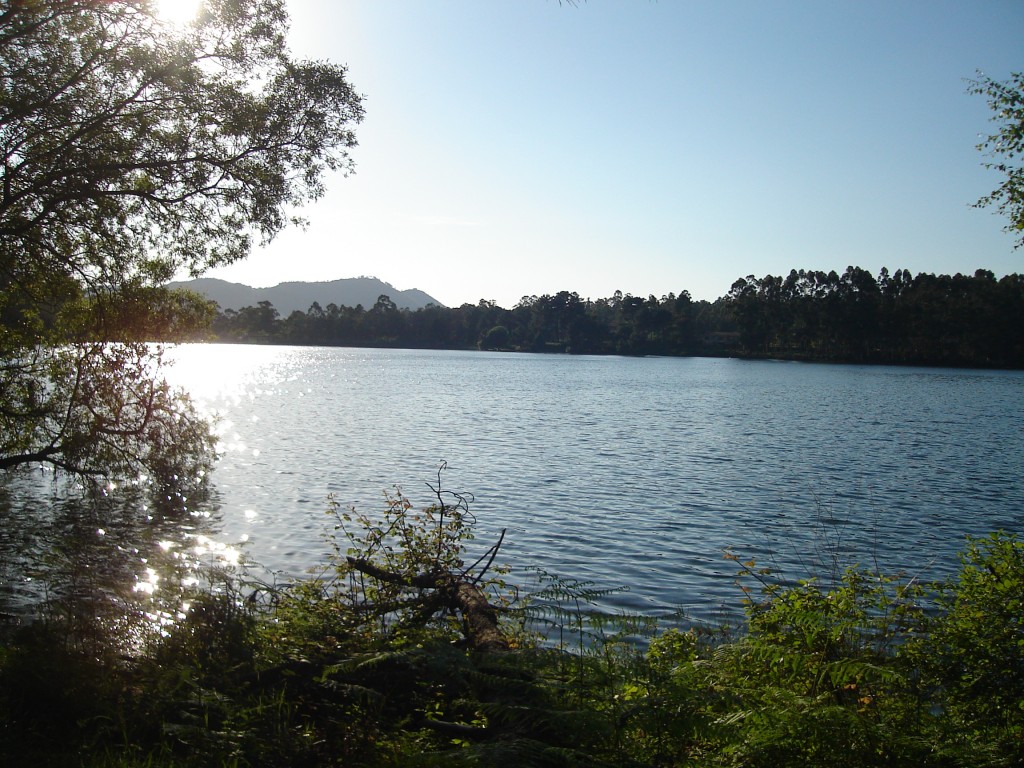 Foto de Vigo (Pontevedra), España