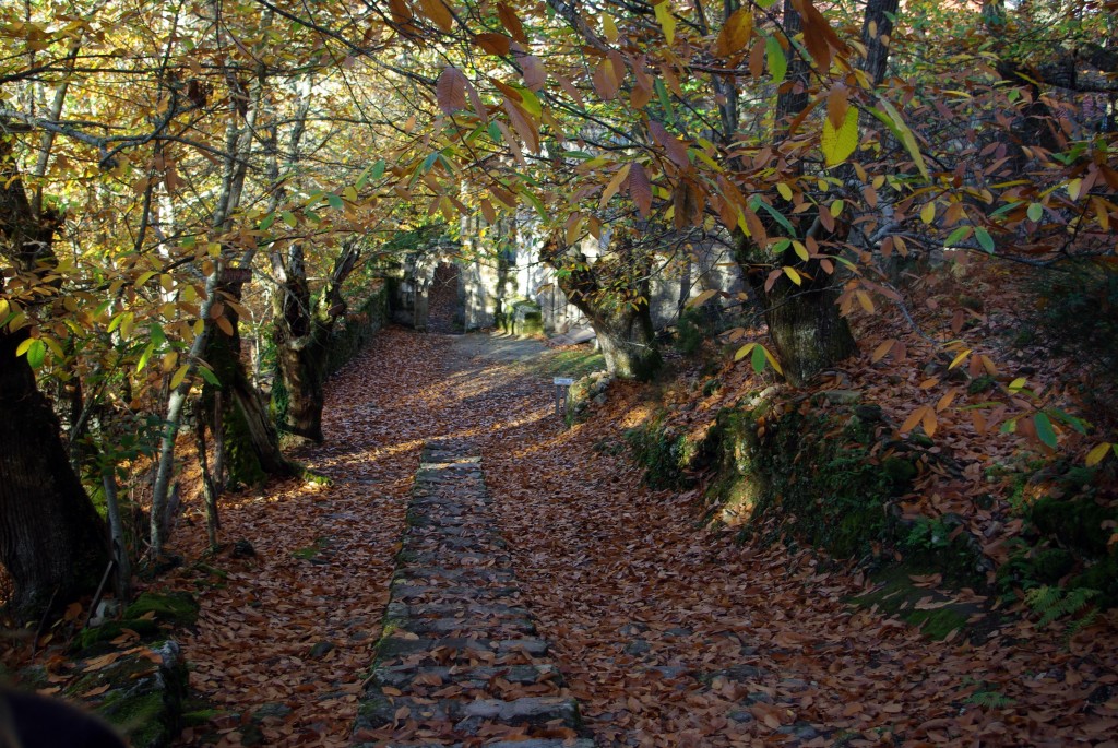 Foto de Parada de Sil (Ourense), España