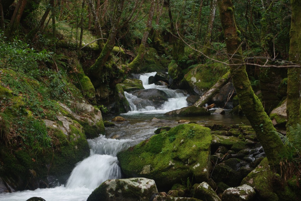 Foto de Padrenda (Ourense), España